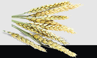 人生就是搏·(中国区)官方网站