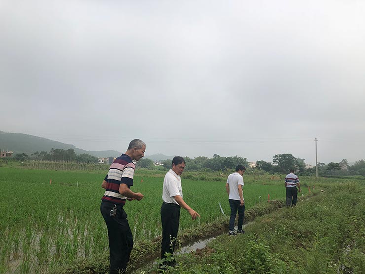人生就是搏·(中国区)官方网站