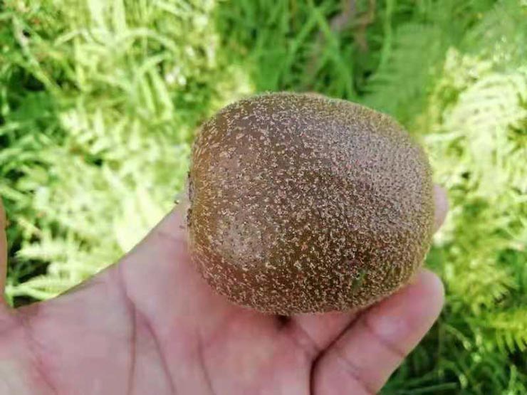 人生就是搏·(中国区)官方网站