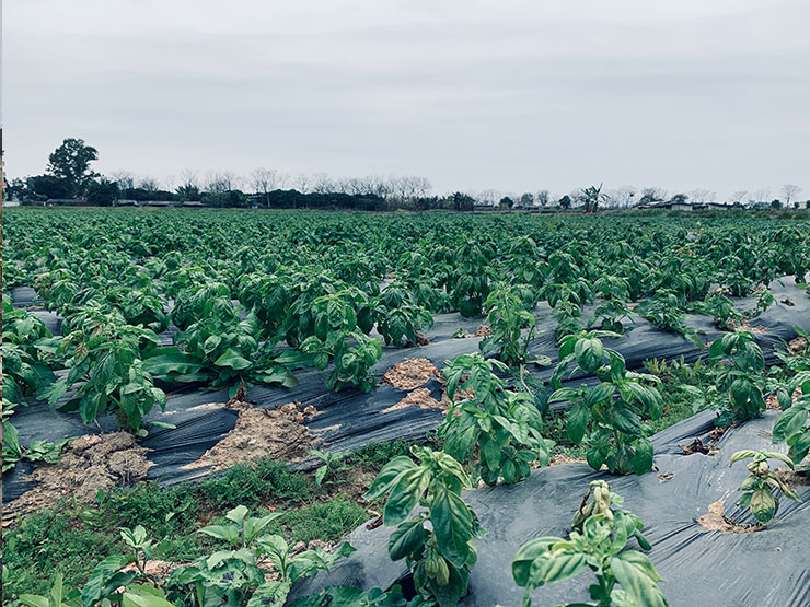 人生就是搏·(中国区)官方网站