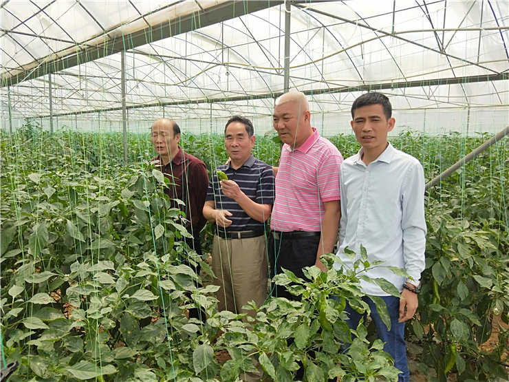 人生就是搏·(中国区)官方网站