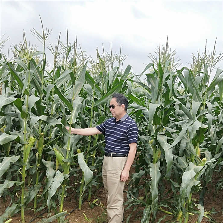 人生就是搏·(中国区)官方网站