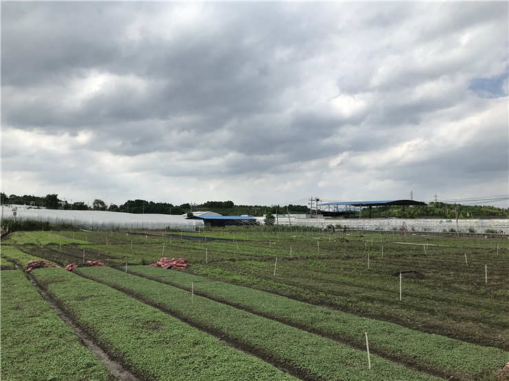 人生就是搏·(中国区)官方网站