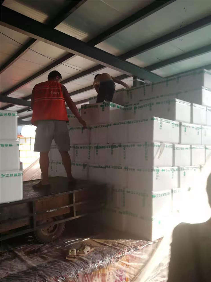 人生就是搏·(中国区)官方网站