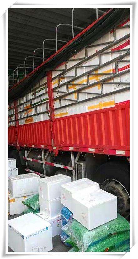 人生就是搏·(中国区)官方网站