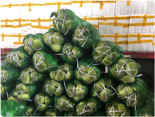 人生就是搏·(中国区)官方网站