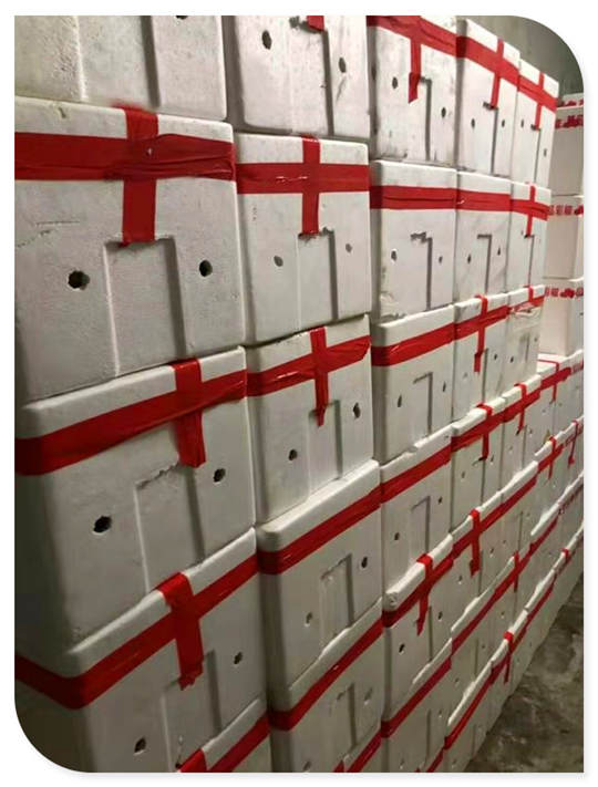 人生就是搏·(中国区)官方网站