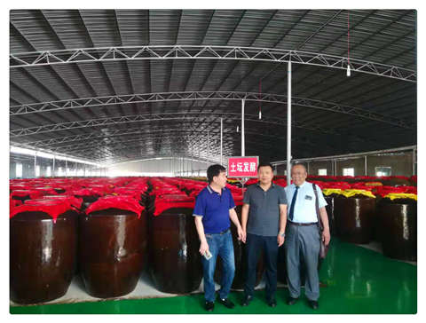 人生就是搏·(中国区)官方网站