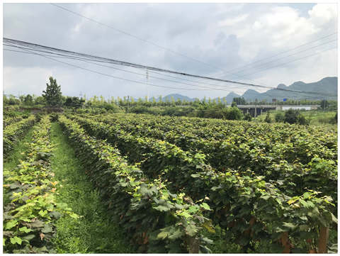 人生就是搏·(中国区)官方网站