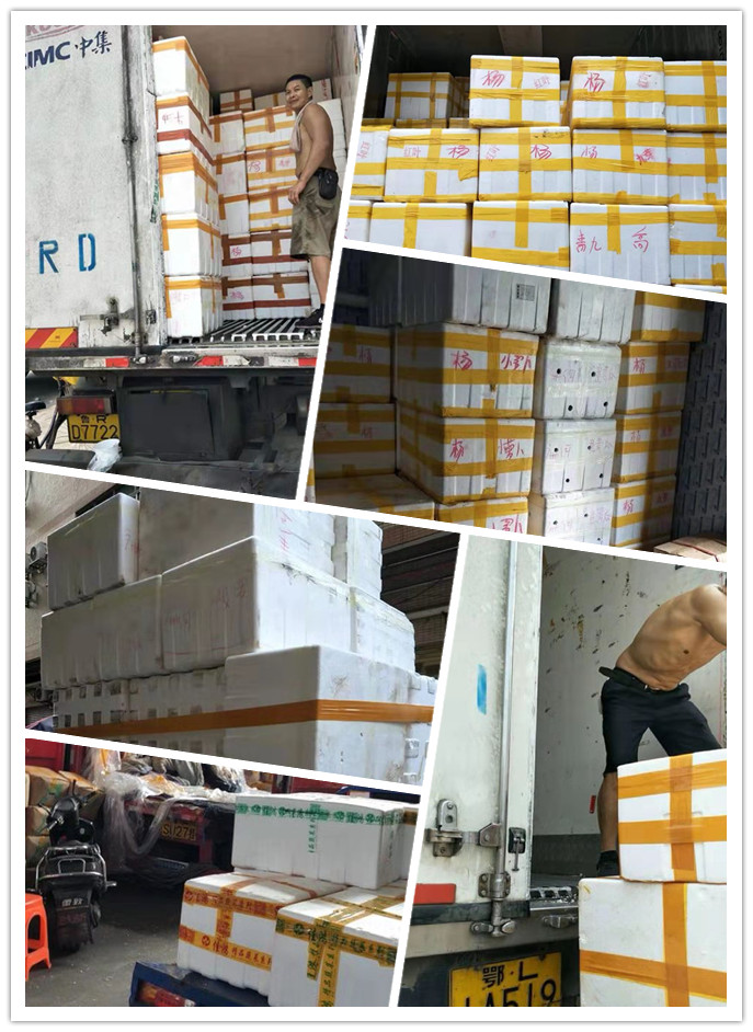 人生就是搏·(中国区)官方网站