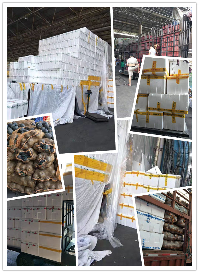 人生就是搏·(中国区)官方网站