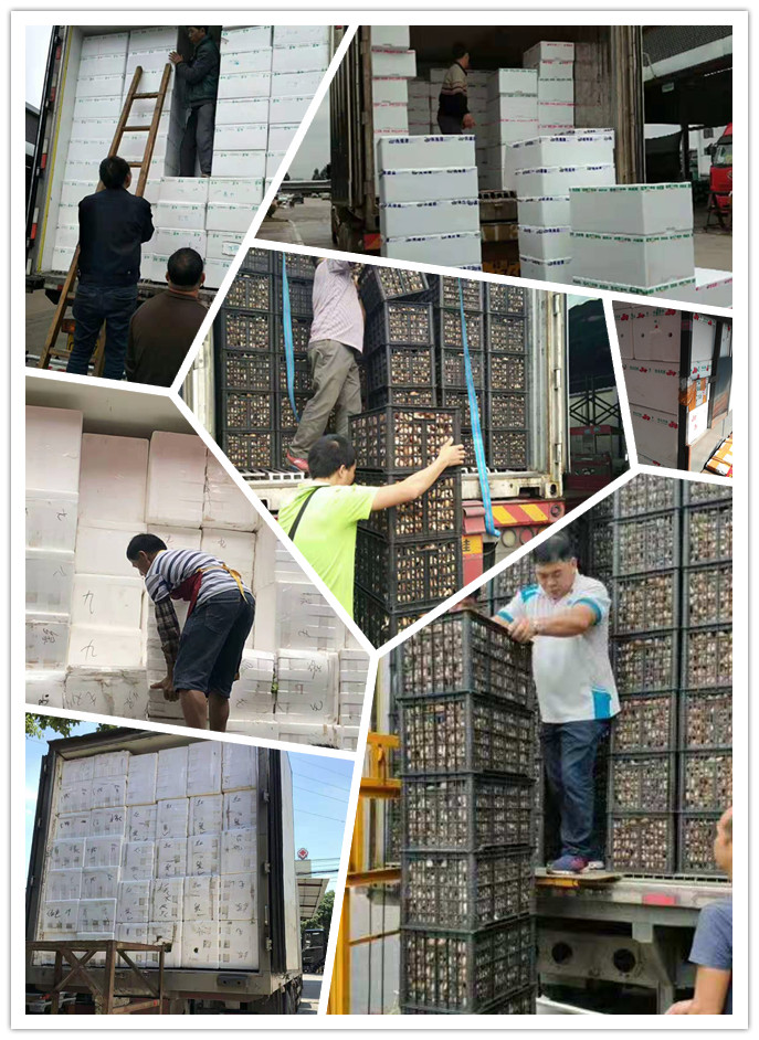 人生就是搏·(中国区)官方网站