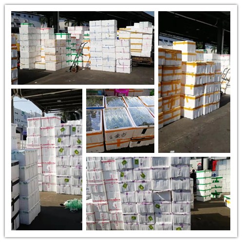 人生就是搏·(中国区)官方网站