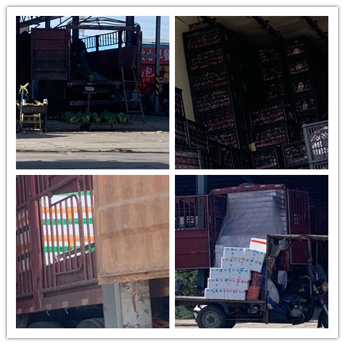 人生就是搏·(中国区)官方网站