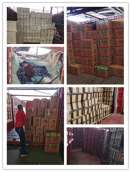 人生就是搏·(中国区)官方网站