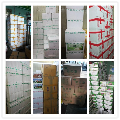 人生就是搏·(中国区)官方网站