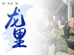  龙里-陆续多年发展基地直采工
